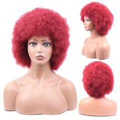 Afro Kinky Curly Synthetic Wig for Black Women - Free Delivery Worldwide only at Flexi Africa