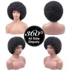 Afro Kinky Curly Synthetic Wig for Black Women - Free Delivery Worldwide only at Flexi Africa