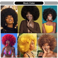 Afro Kinky Curly Synthetic Wig for Black Women - Free Delivery Worldwide only at Flexi Africa