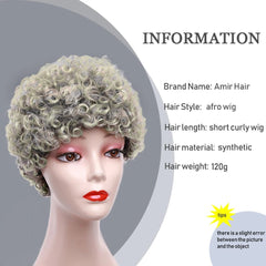 Amir Short Grey Afro Kinky Curly Wig Women Synthetic Hair Wigs With Natural Short Bob Wigs - Free Delivery Worldwide only at Flexi Africa