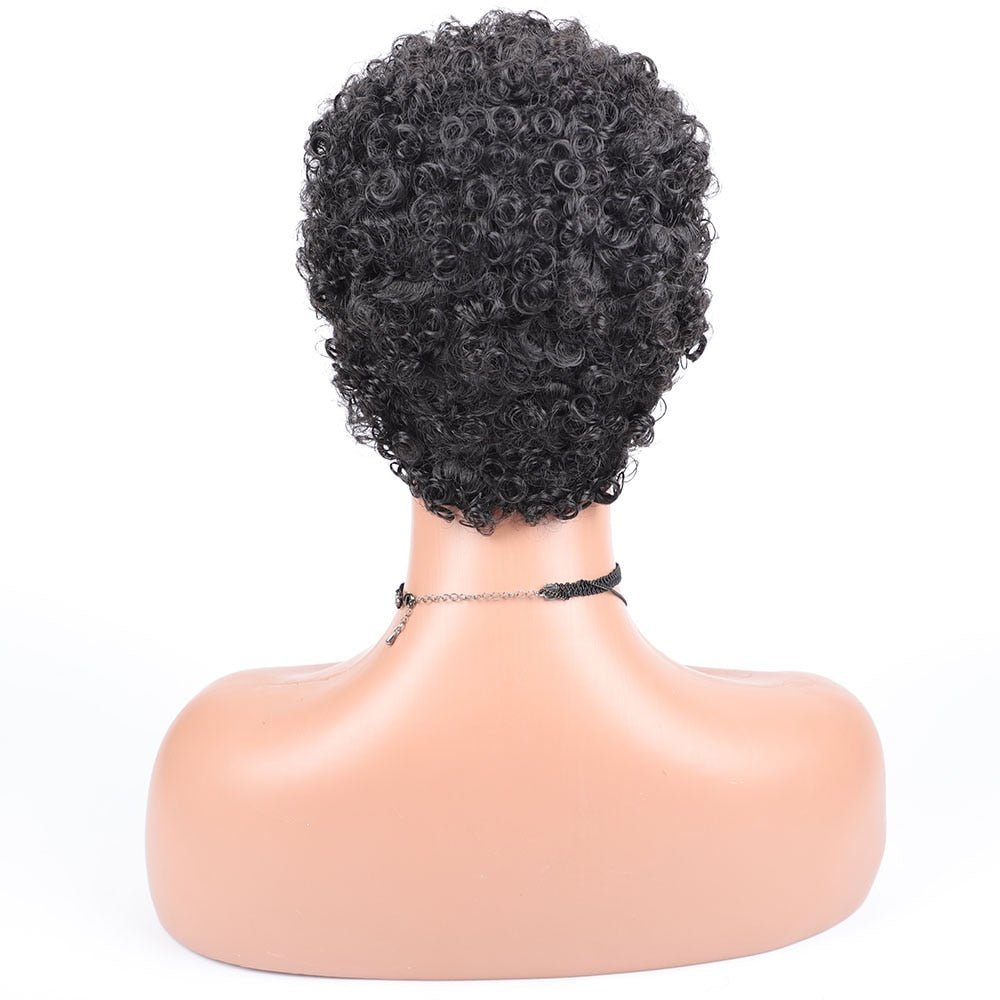 Short Afro Curly Synthetic Hair Wigs for Black Women Pixie Cut Wigs with Thin Hair - Free Delivery Worldwide only at Flexi Africa