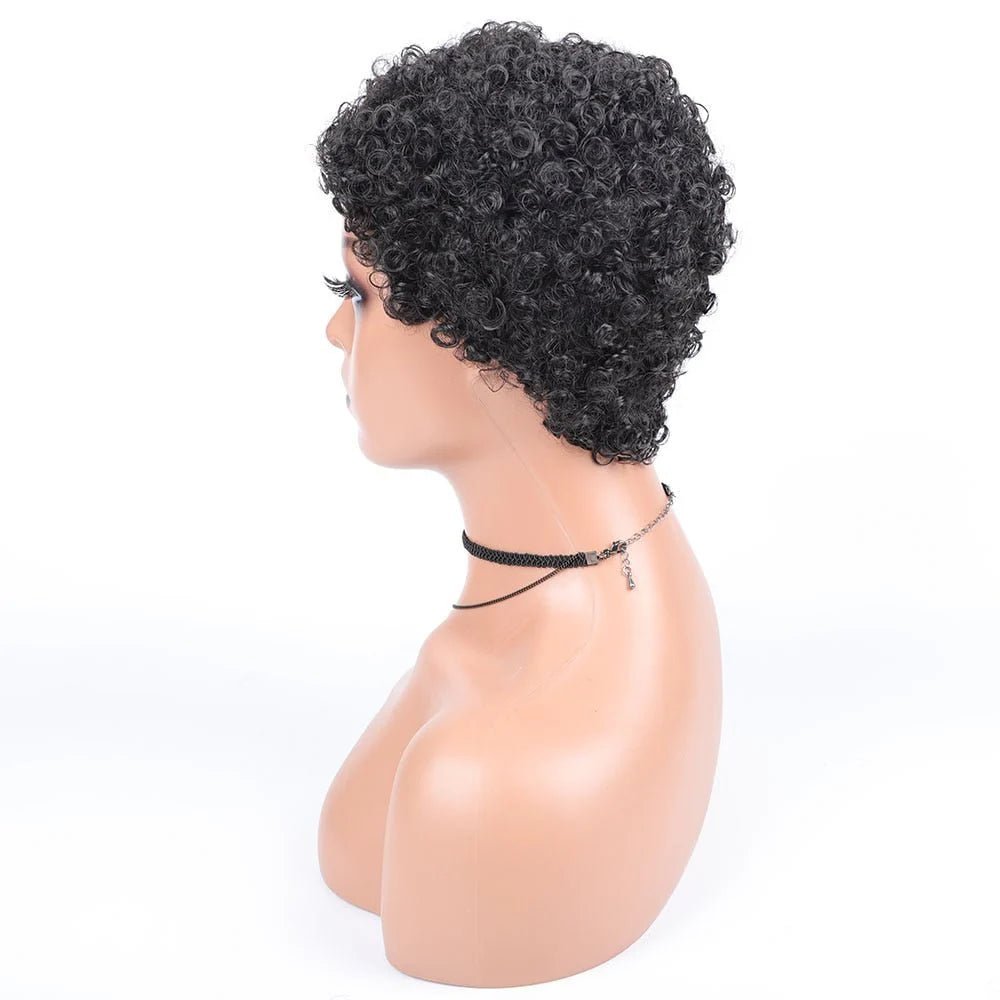 Short Afro Curly Synthetic Hair Wigs for Black Women Pixie Cut Wigs with Thin Hair - Free Delivery Worldwide only at Flexi Africa