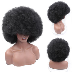 Short Afro Wigs Black Hair for Women Short Kinky Curly Wigs With Bangs - Free Delivery Worldwide only at Flexi Africa