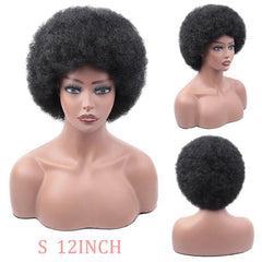 Short Afro Wigs Black Hair for Women Short Kinky Curly Wigs With Bangs - Free Delivery Worldwide only at Flexi Africa